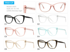 Comfort Cat-Eye Anti-Blue Light TR90 Frame with Spring Hinge 2005