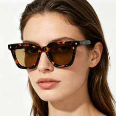 Retro Tortoiseshell Acetate Sunglasses AC9203S