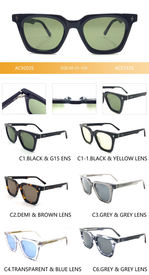 Retro Tortoiseshell Acetate Sunglasses AC9203S