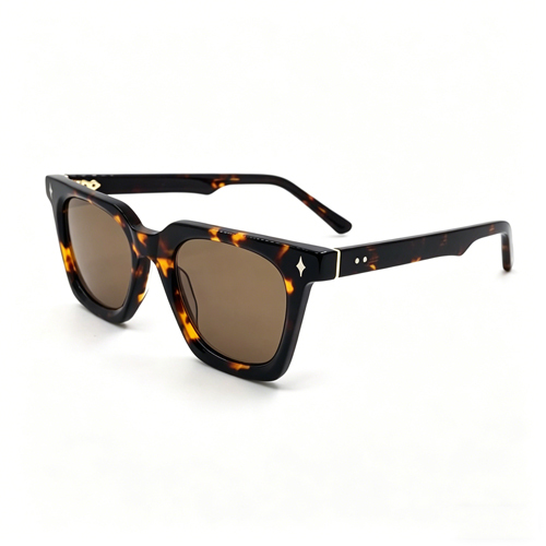 Retro Tortoiseshell Acetate Sunglasses AC9203S