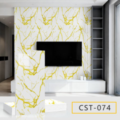 CST074