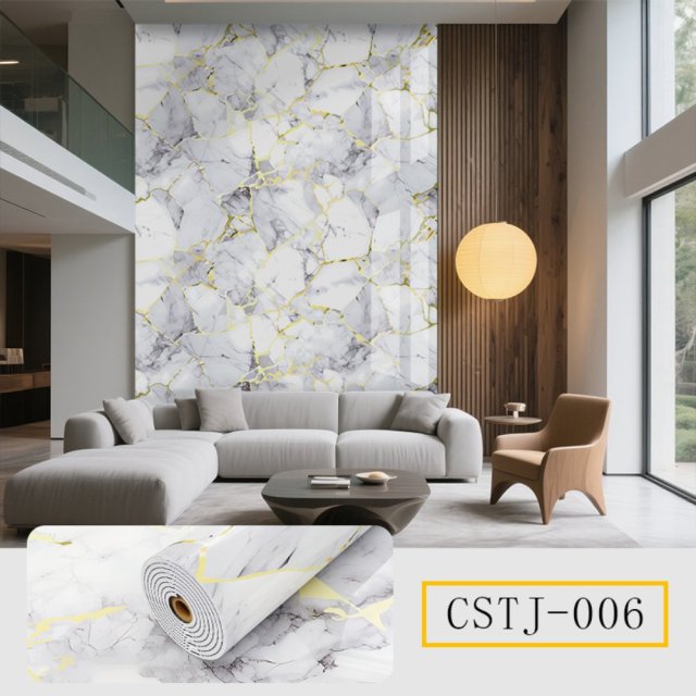 CSTJ006