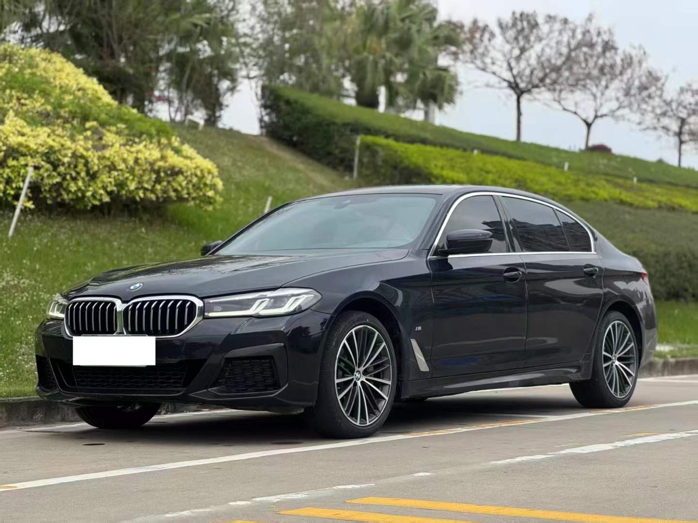 2022 BMW 530Li 2.0T AT,iwannabuycar,2022 BMW 530Li 2.0T AT