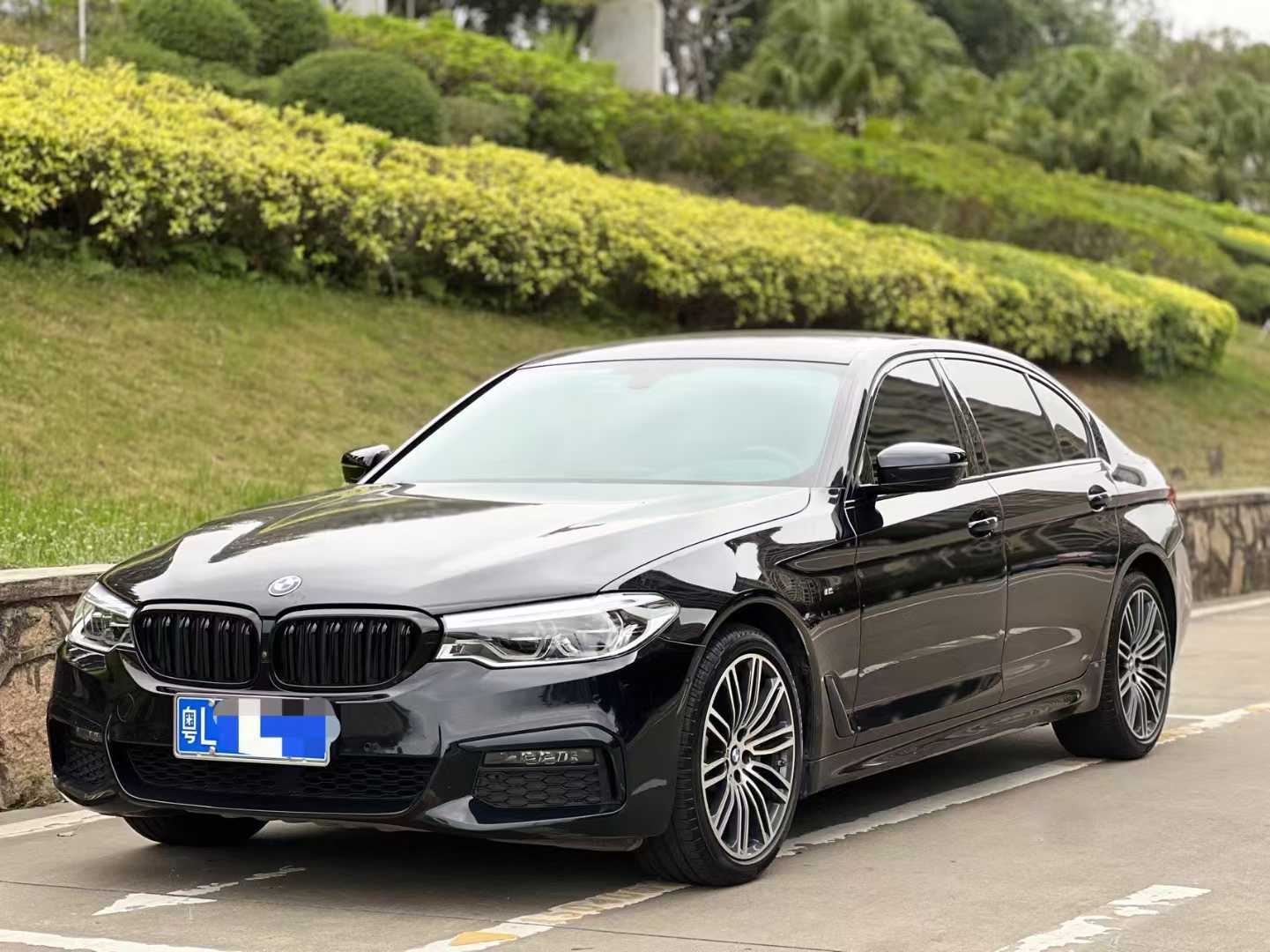 2019 BMW 530Li 2.0T AT,iwannabuycar,2019 BMW 530Li 2.0T AT
