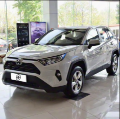 Toyota Rav4,Sichuan Xibang Times Automobile Group Co.,Ltd,Toyota Rav4