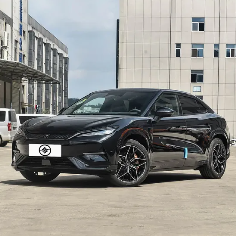 Song L,Sichuan Xibang Times Automobile Group Co.,Ltd,Song L