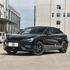 Song L,Sichuan Xibang Times Automobile Group Co.,Ltd,Song L