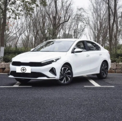 Kx3,Sichuan Xibang Times Automobile Group Co.,Ltd,Kx3