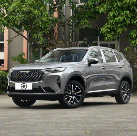 H6,Sichuan Xibang Times Automobile Group Co.,Ltd,H6
