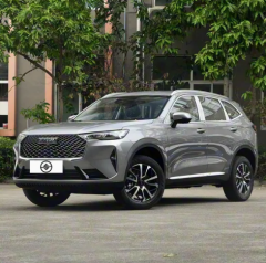 H6,Sichuan Xibang Times Automobile Group Co.,Ltd,H6