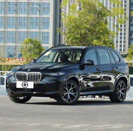 BMW X5,Sichuan Xibang Times Automobile Group Co.,Ltd,BMW X5