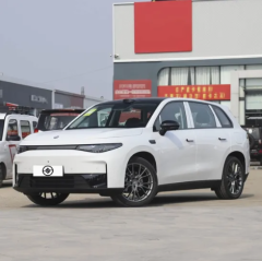 C10,Sichuan Xibang Times Automobile Group Co.,Ltd,C10