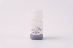 Glutathione Magarose Beads