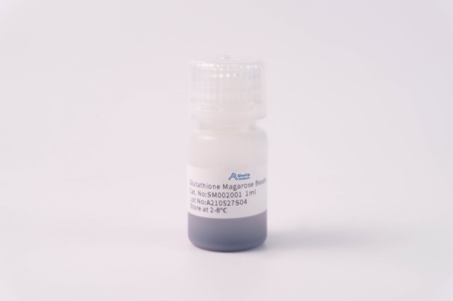 Glutathione Magarose Beads
