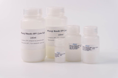Phenyl Beads 6FF (Low Sub)