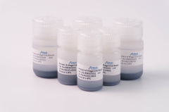 rProtein A Magarose Beads
