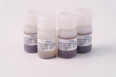 Streptavidin MagPoly Beads