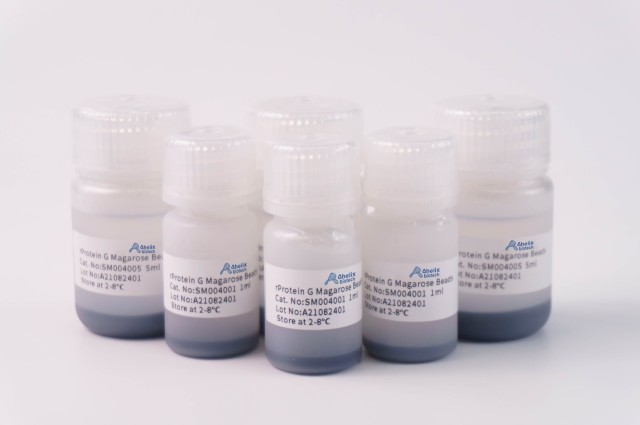 rProtein G Magarose Beads