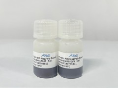rProtein AG MagPoly Beads