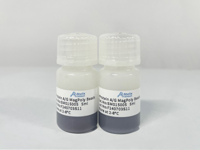 rProtein AG MagPoly Beads