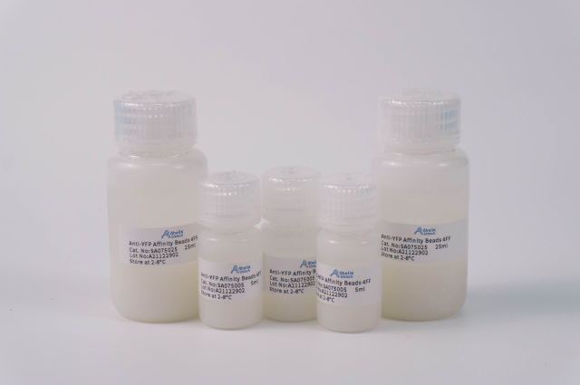Anti-YFP Affinity Beads 4FF