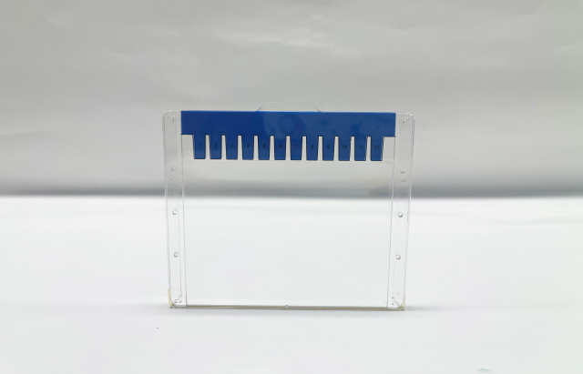 Ahelixbiotech Pre-cast Protein Gel (Bis-Tris)