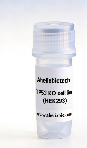 TP53 Knockout cell line (HEK293)