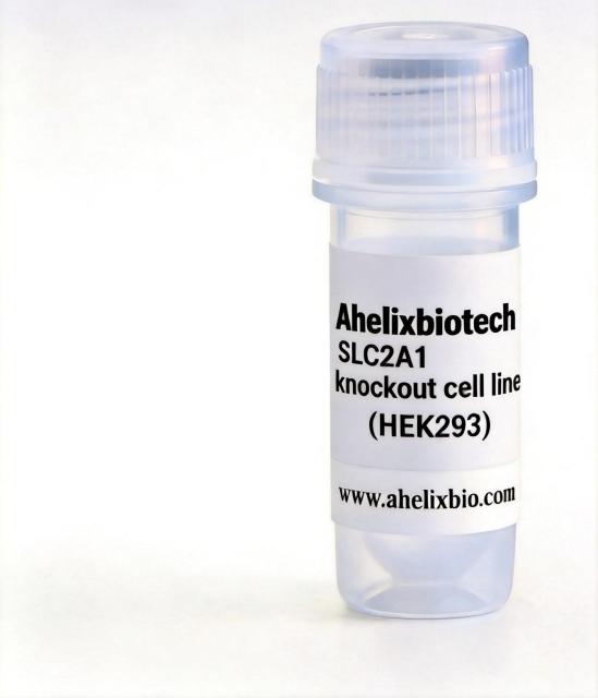 SLC2A1 Knockout cell line (HEK293)