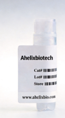 ZNF326 Knockout cell line (HCT 116)