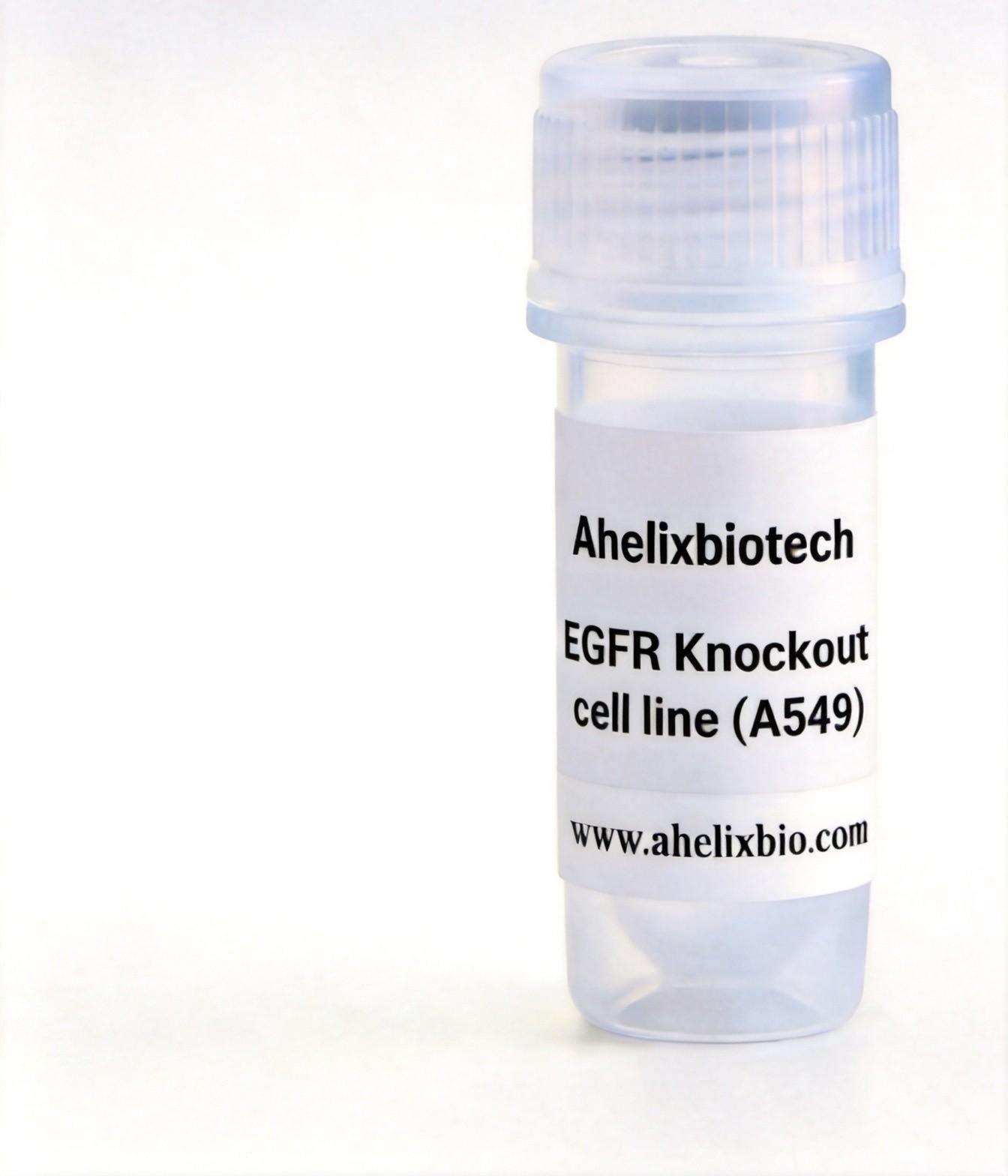 EGFR Knockout cell line (A549)