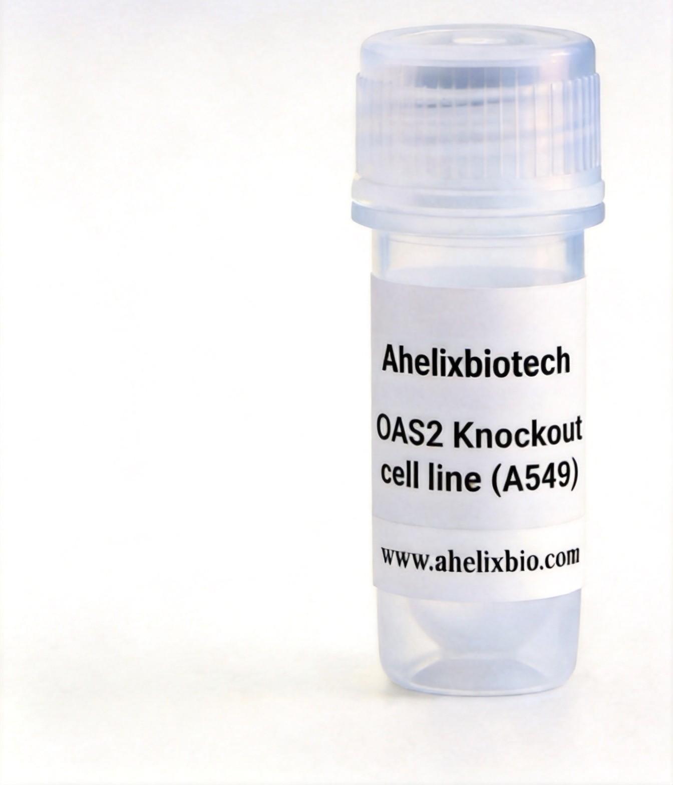OAS2 Knockout cell line (A549)