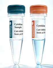 Rat GM-CSF Protein