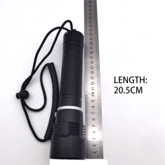 BWD-09, Baiwei,BWD-09