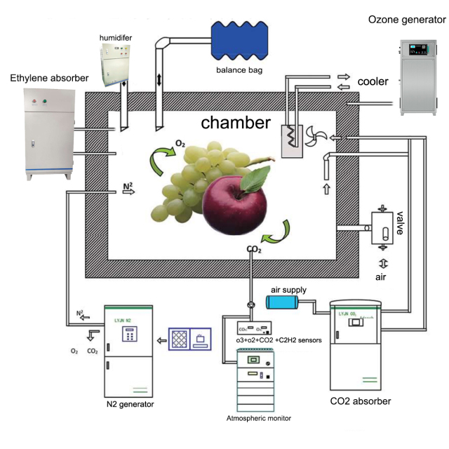 ozone generator for eco Atmosphere storage for fruits and vegetables,MY SHOP,ozone generator for eco Atmosphere storage for fruits and vegetables
