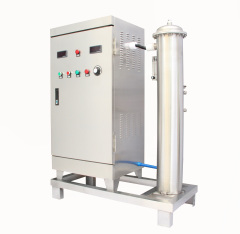200g industrial ozone generator wastewater treatment aquaculture pool water purifier,Guangzhou Dnwell Machinery Co., ltd,200g industrial ozone generator