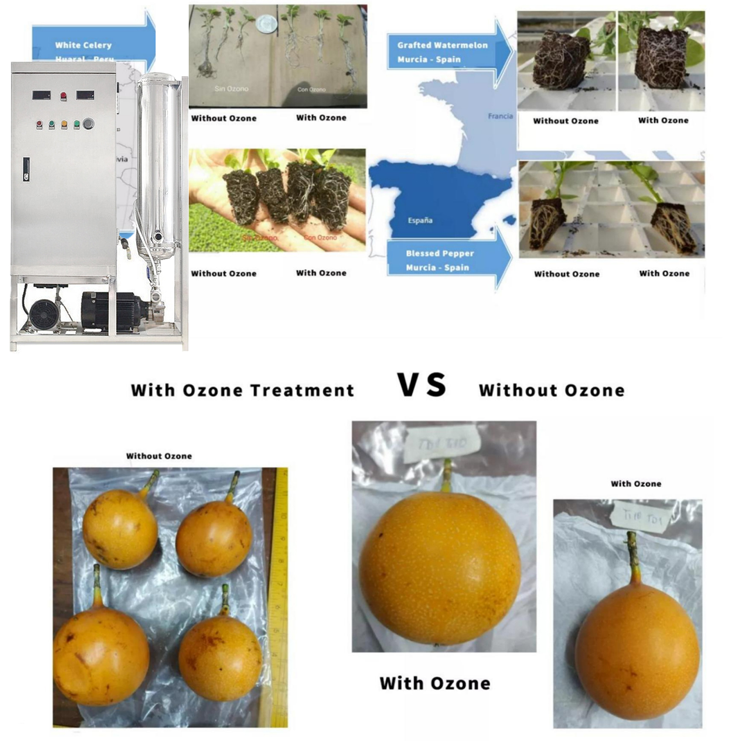 agriculture irrigation water ozone generator 50g,MY SHOP,agriculture irrigation water ozone generator 50g