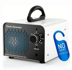 ceramic plate 5g 10g 20g 36g portable ozone generator,MY SHOP,ceramic plate 5g 10g 20g 36g portable ozone generator