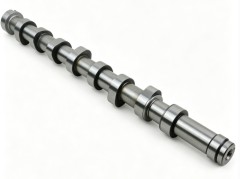 Camshaft for Peugeot Expert 207 308 Citroen Berlingo C3 C4 1.6 HDi 0801FC 1685737 AV6Q6250BA 0801.FC 31330194