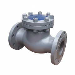 Swing Check Valve,MY SHOP,Swing Check Valve