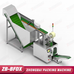 Bottle Cap Counting Packing Machine