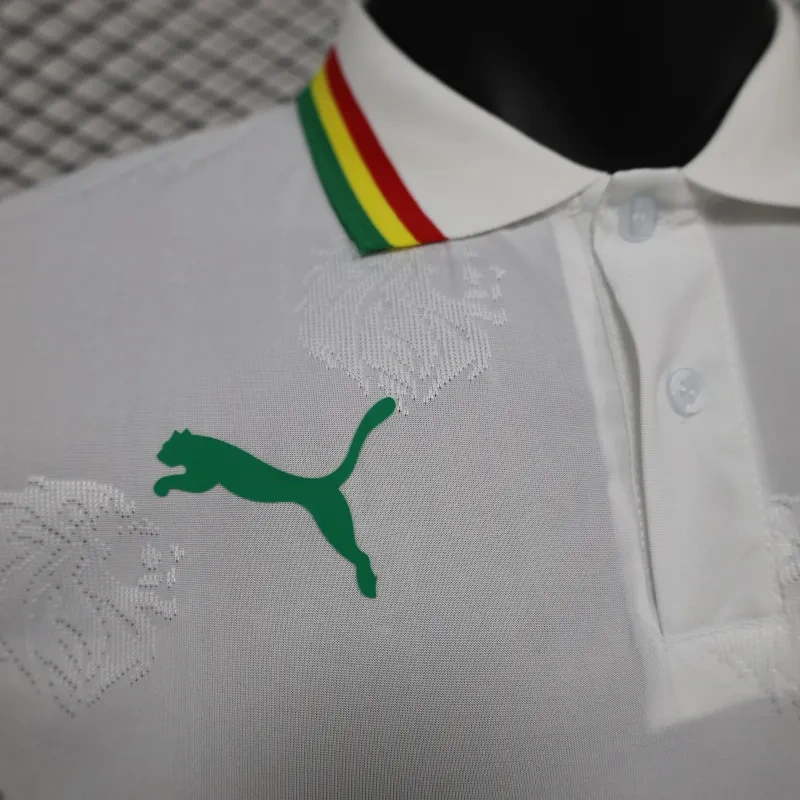 2024/2025 Senegal Special Edition Senegal Football Jersey for Players