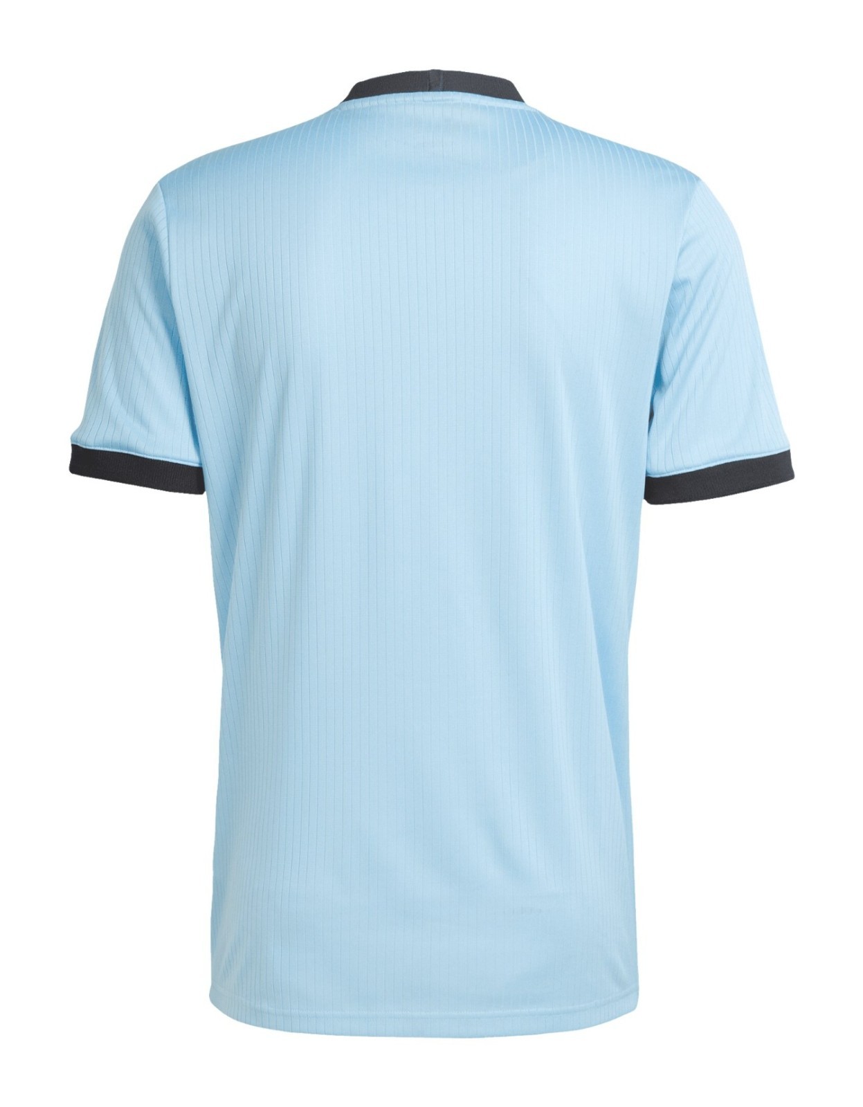 Germany 125th Anniversary Blue Goalkeeper Shirt Player Version 2025