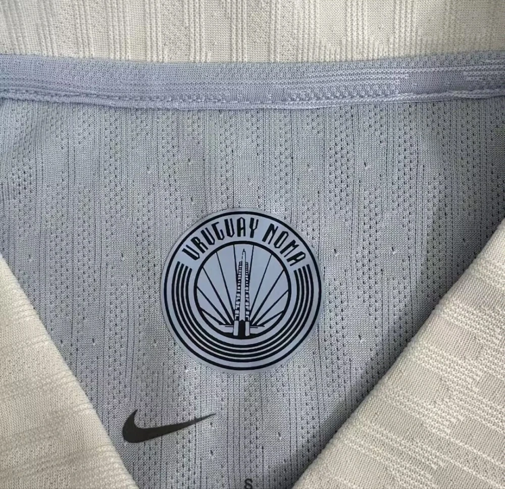 2026 Uruguay World cup Home Long Sleeve Football jersey Player Edition