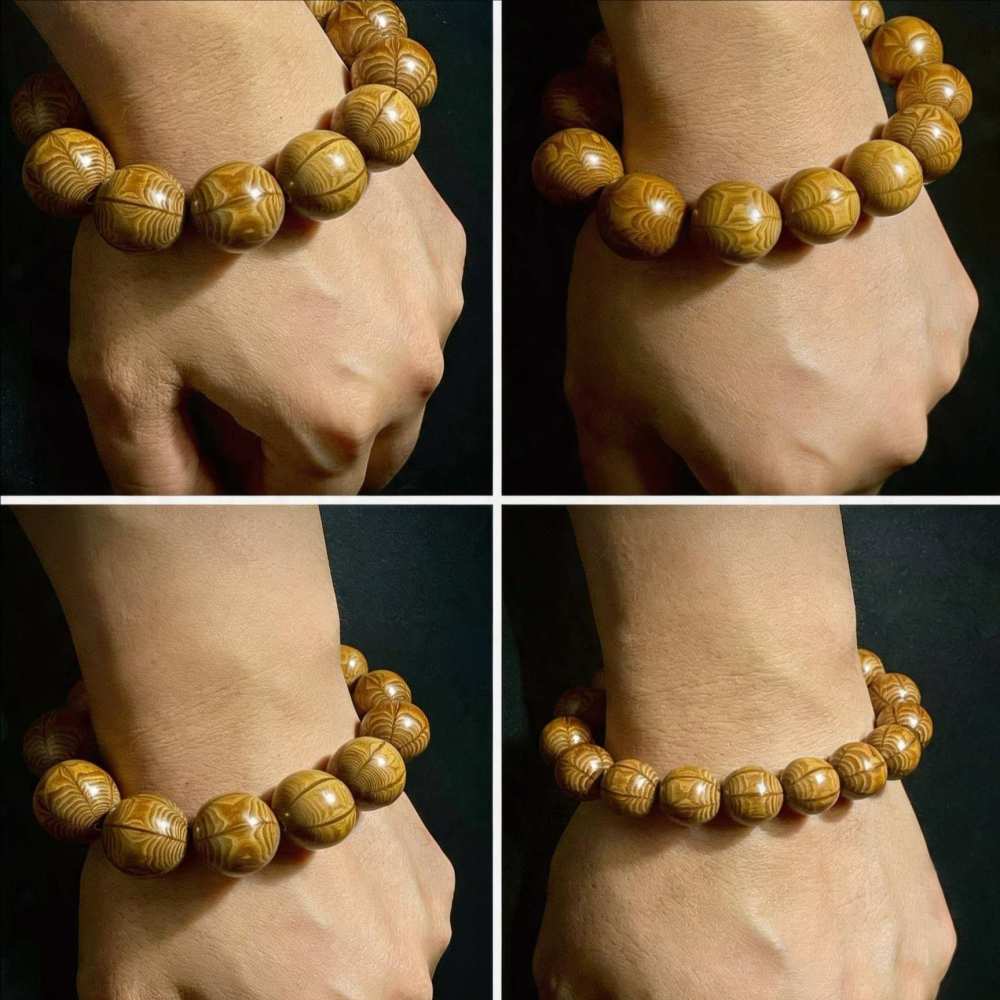 The Meditation Series