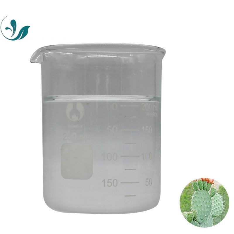 Cactus Liquid （1）