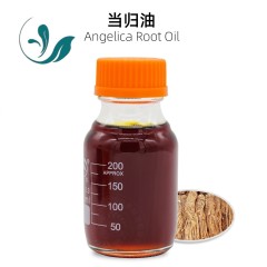 Angelica oil