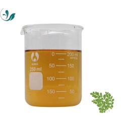 Moringa Liquid