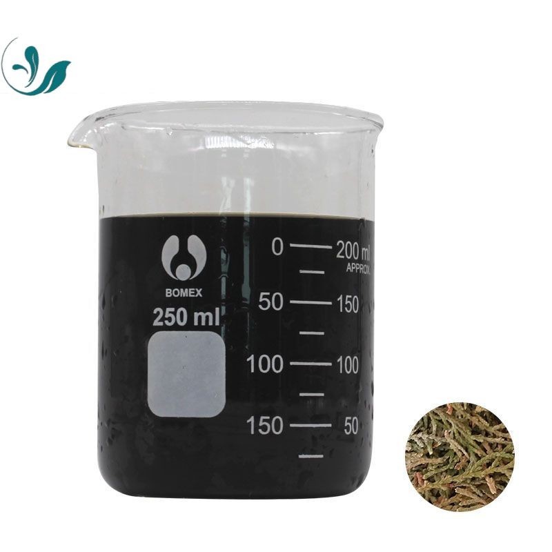 Platycladus orientalis leaf Liquid