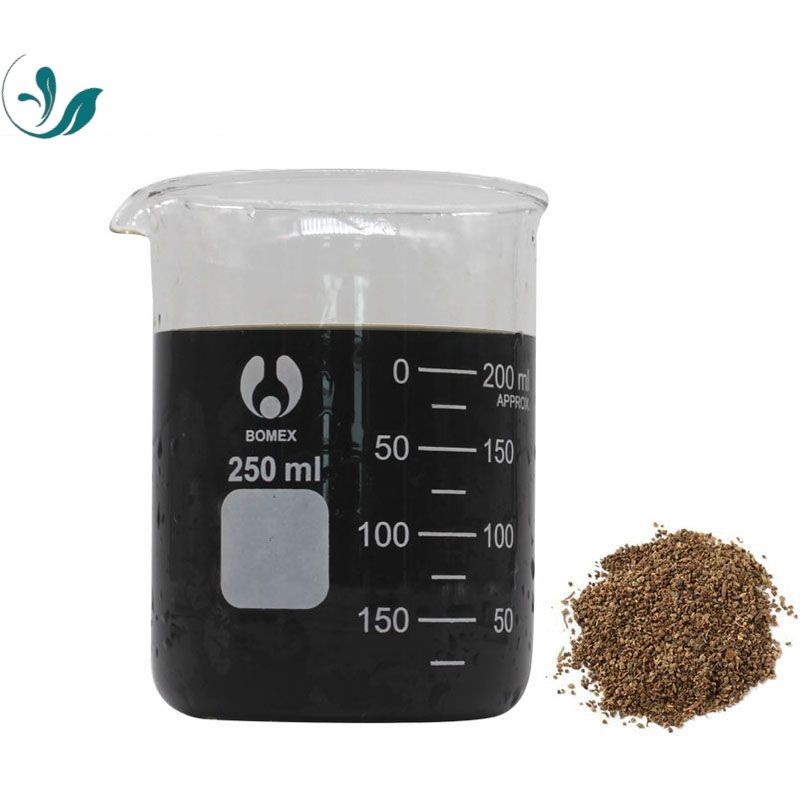 Kochiae Fructus Liquid