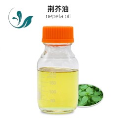 Nepeta oil